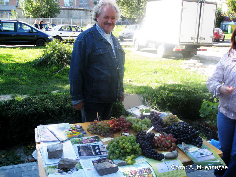 П. Мазур, заведующий НИЛ садоводства и виноградарства НЭНЦ, Киев