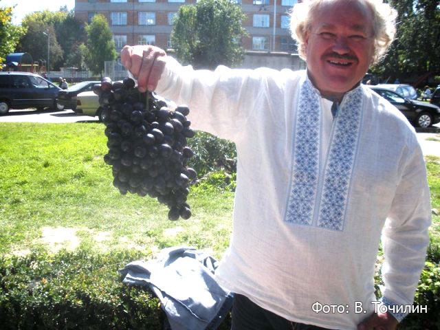 П. Мазур с гроздью своего винограда