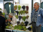 Сергей Рудаков у стенда с виноградом