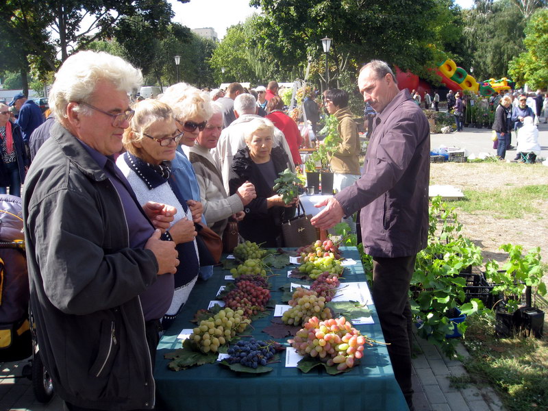 Владимр Астапенко рассказывает посетителям об особенностях разных сортов винограда
