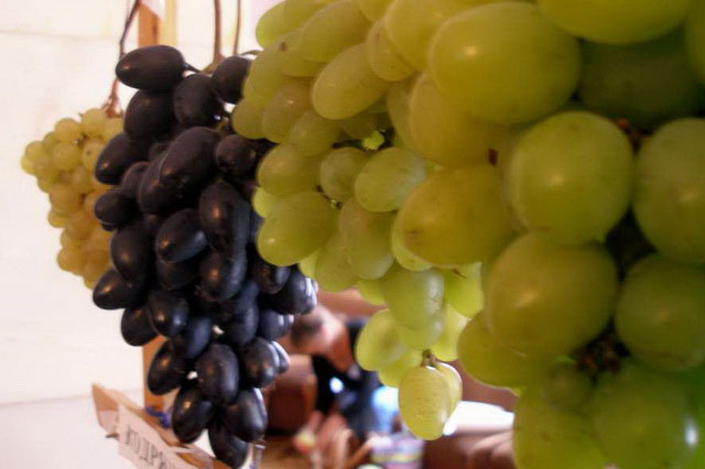 Грозди винограда на выставке